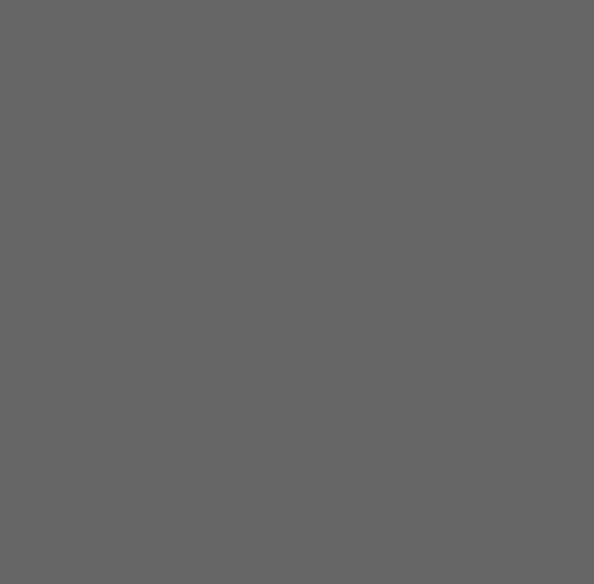 Alvic Gris Anthracite